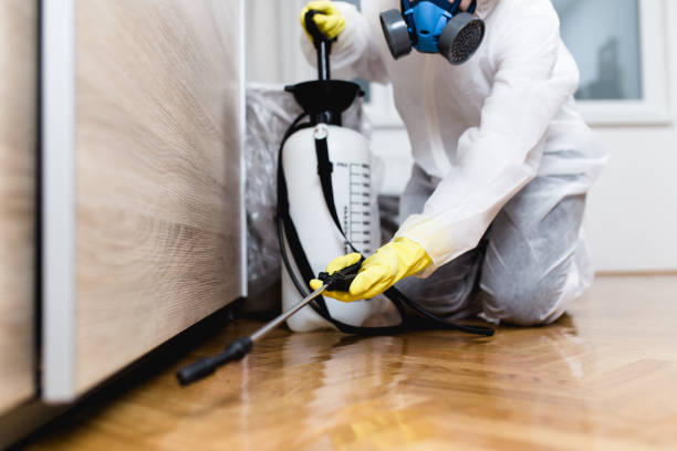 Best Wildlife Control Services  in Black Jack, MO