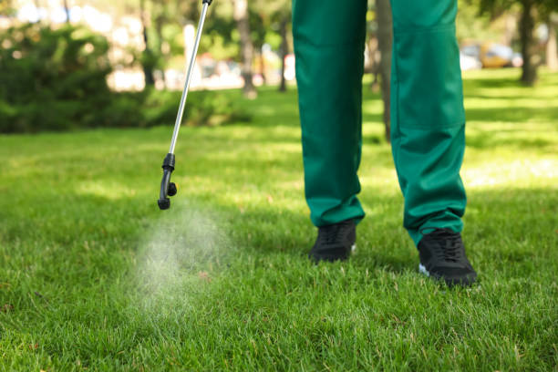 Best Pest Inspection Near Me  in Black Jack, MO