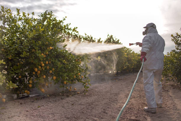 Best Best Pest Control Companies  in Black Jack, MO